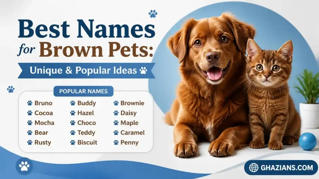 Best Names for Brown Pets: Unique & Popular Ideas