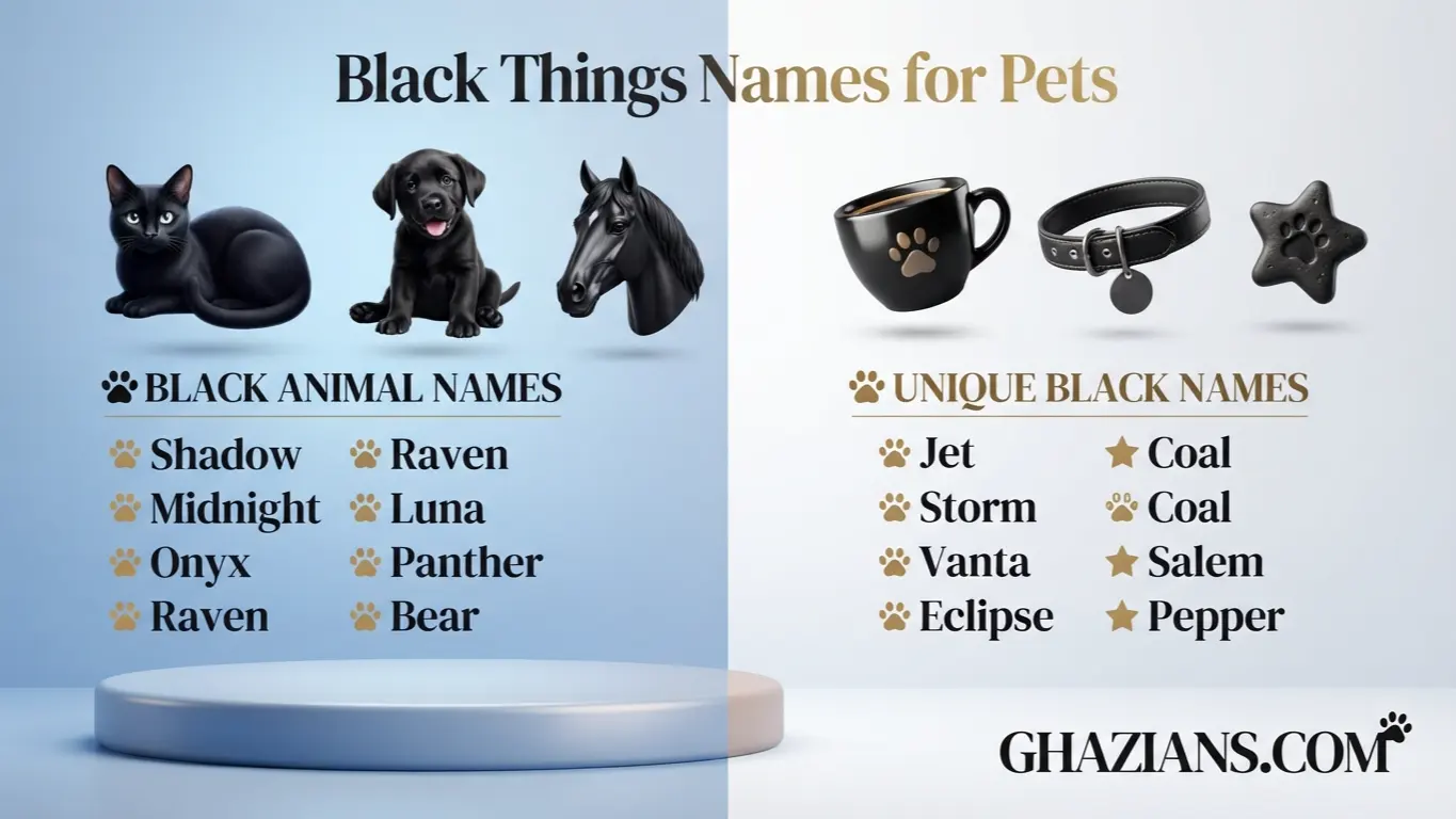 Black Things Names for Pets