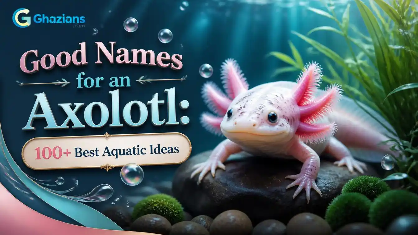 Good Names for an Axolotl: 100+ Best Aquatic Ideas