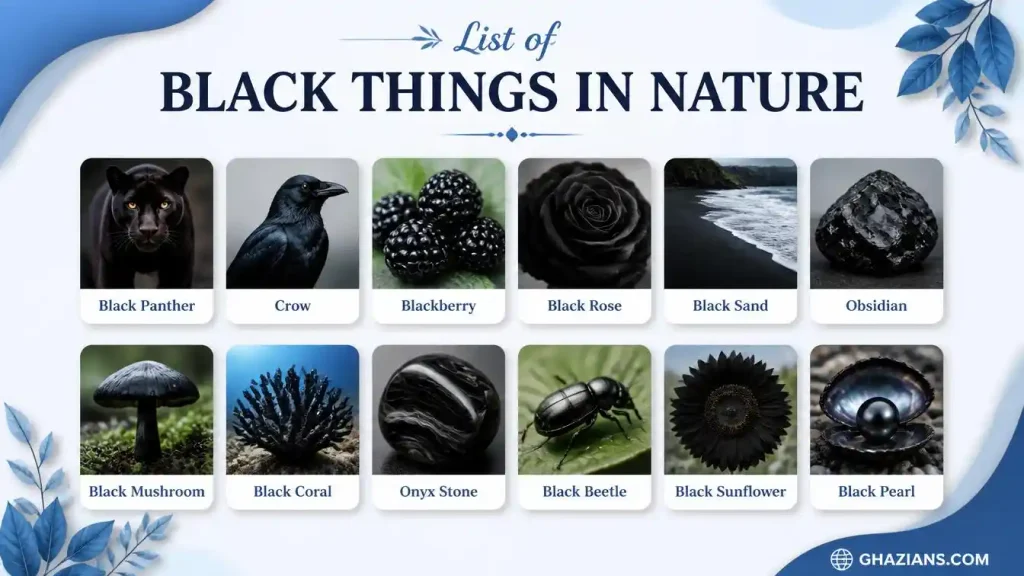 List of Black Things in Nature