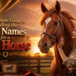 The Ultimate Guide to Finding the Best Names for a Red Horse
