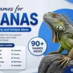 Names for Iguanas: 90+ Cute, Funny and Unique Ideas