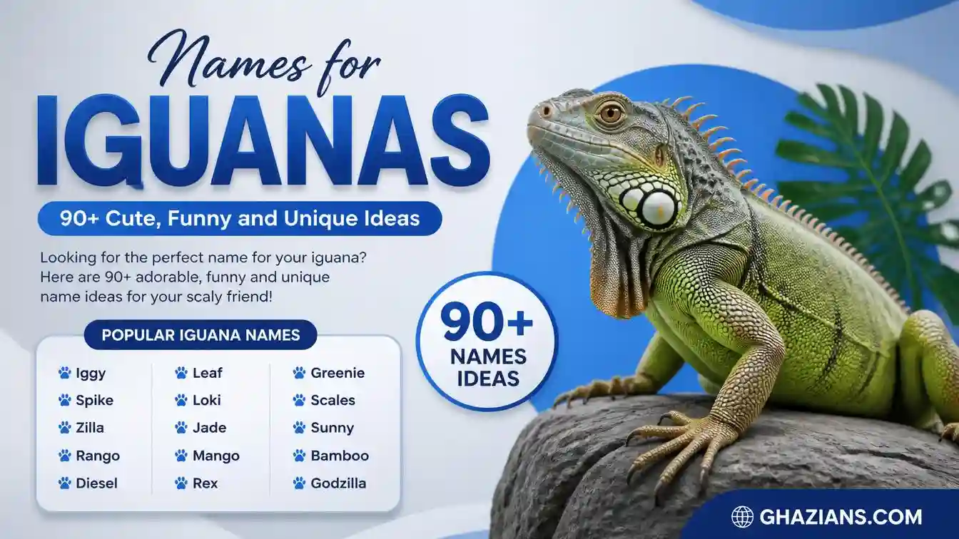 Names for Iguanas: 90+ Cute, Funny and Unique Ideas