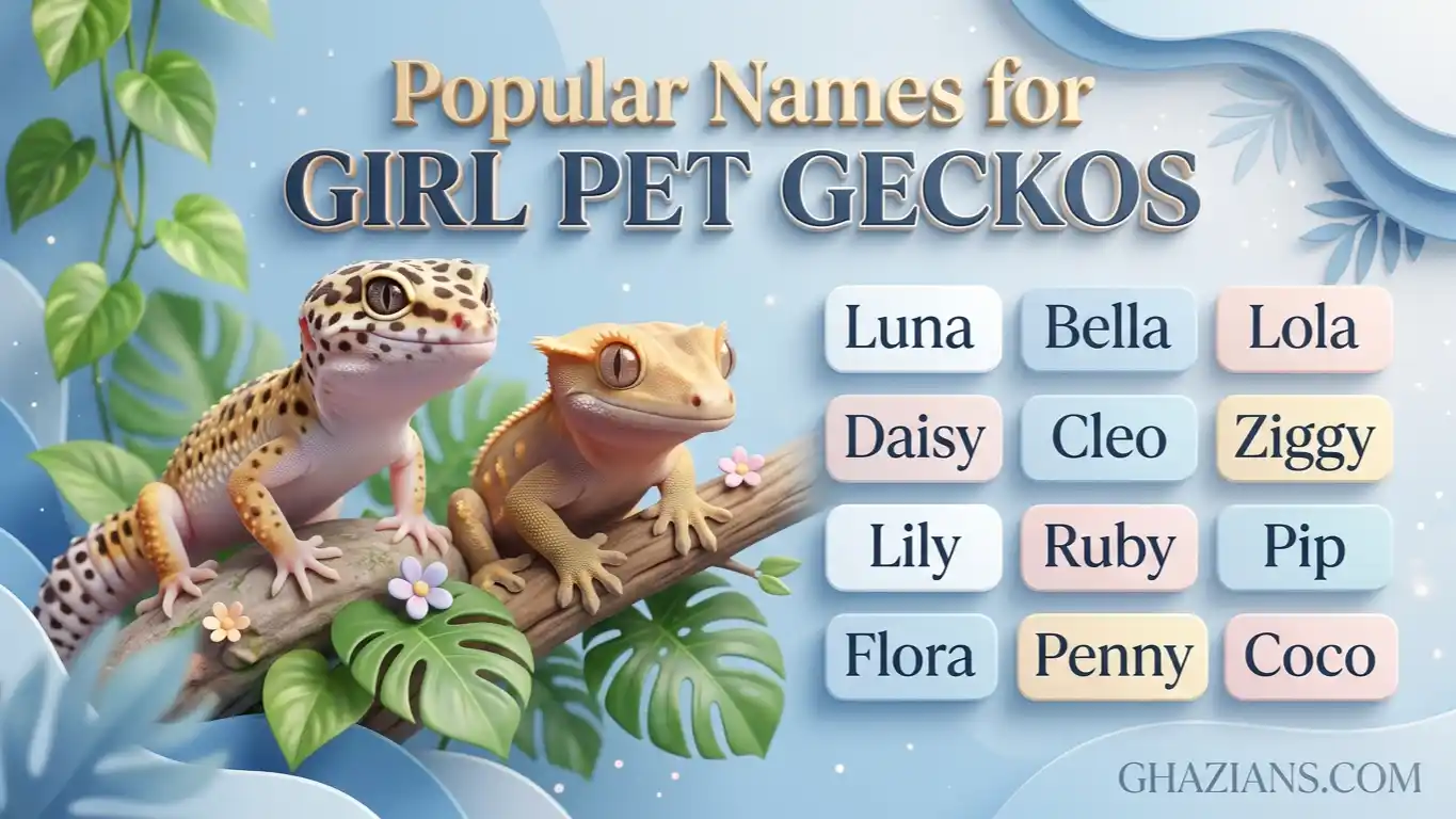 Names for pet geckos girl
